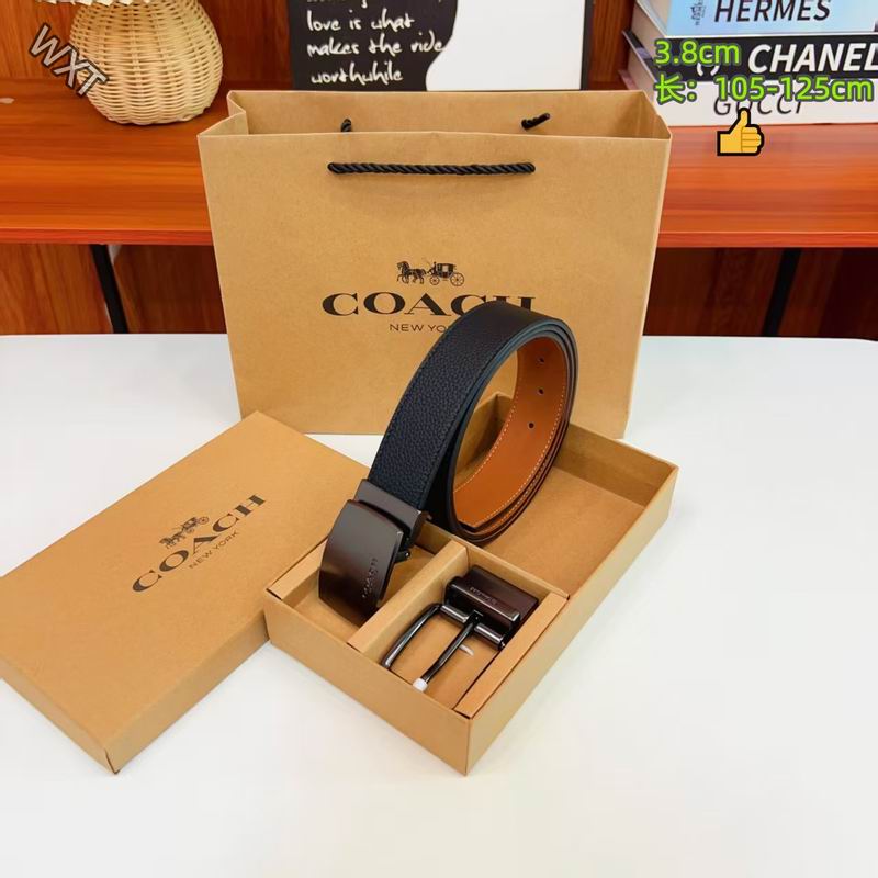 Coach belt 38mmX105-125cm 8L25